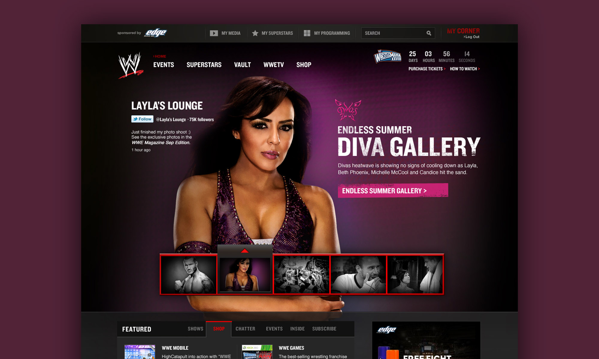 WWE Website Design (pitch)