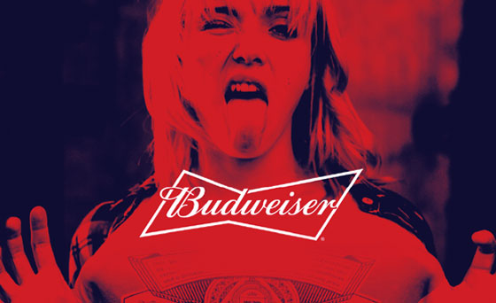 Budweiser Brand Extension Guidelines